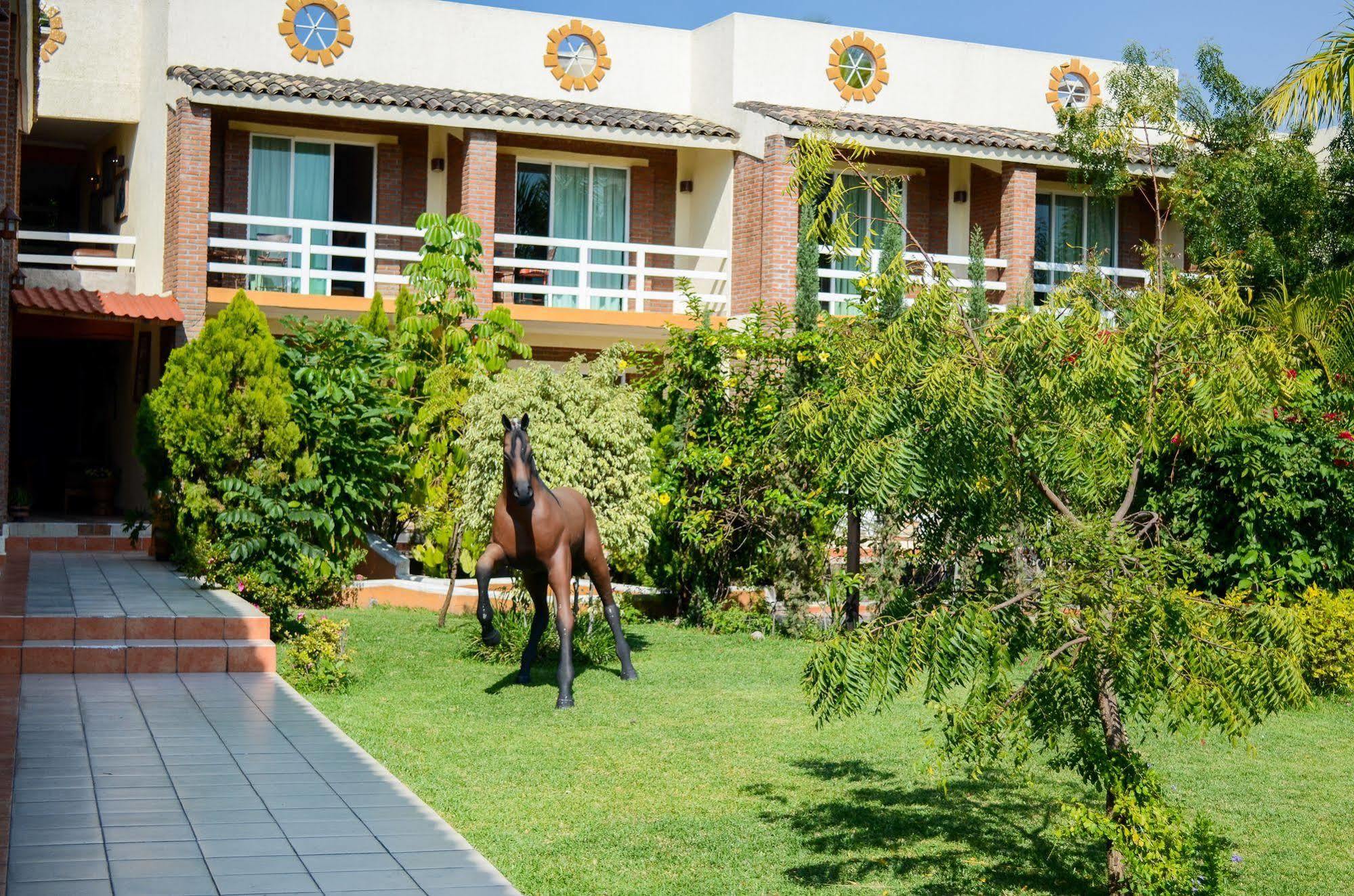 Quinta La Estampida Otel Xochitepec Dış mekan fotoğraf